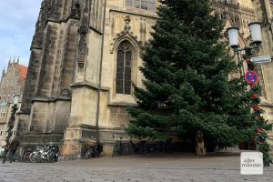 As in previous years, many lampposts are wrapped with Christmas decorations (Photo: Jasmin Reghat)