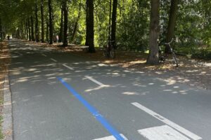 Die traditionelle "Blaue Linie" für den Münster Marathon ist gezogen. (Foto: Münster Marathon)