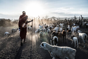 Massai in Tansania. (Foto: Michael Martin)