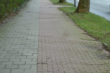 Starke „Wurzelschäden“ machen eine Erneuerung der Geh- und Radwege an der Wolbecker Straße zwischen Mondstraße und Laerer Landweg nötig. (Foto: Stadt Münster)